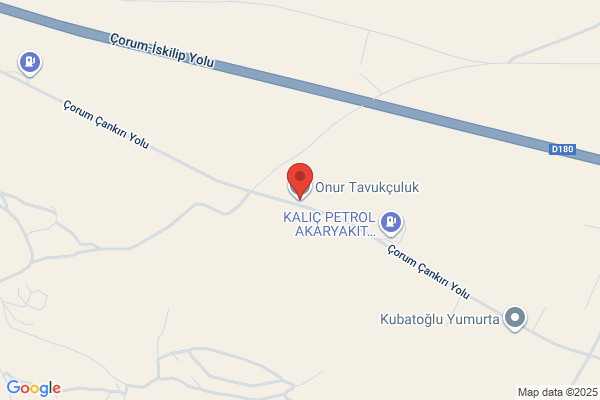 Onur TavukÇuluk Tic.san.ltd