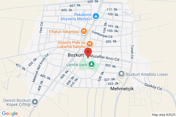 Bozkurt Belediye Baskani