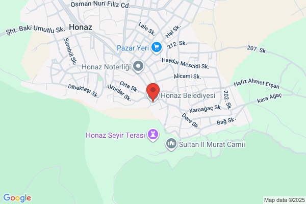 Honaz Belediye Baskani