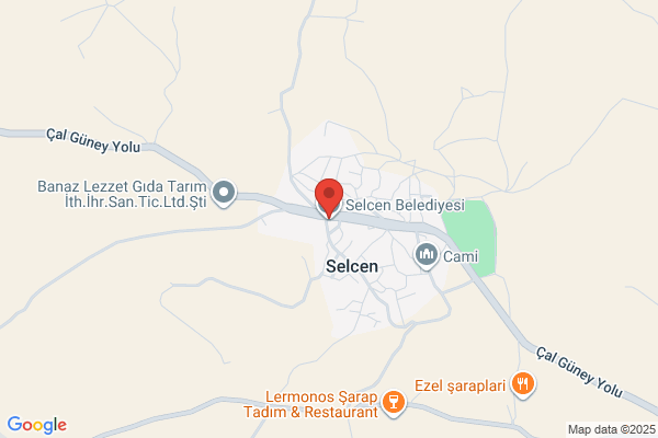 Selcen Belediye Baskani