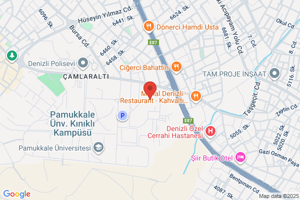 Ozel P.kale Univ. Tip Fak. Vakfi Hastanesi