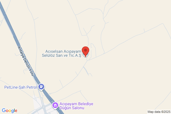 Aciselsan Acipayam SelÜloz Sanayi Ve Ticaret A.s.