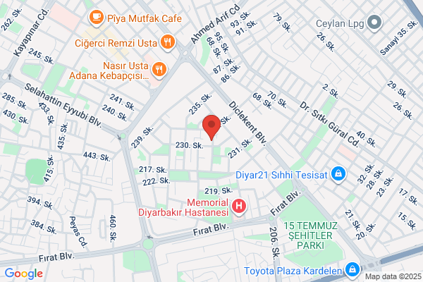 Diyarbakir Halidiye Vakfi