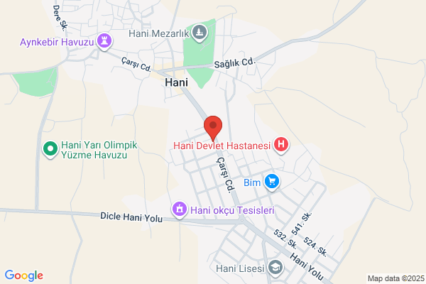 Hani Belediye Baskani