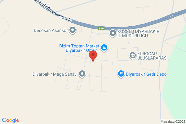 FedEx - TNT Express (Diyarbakır Acente)