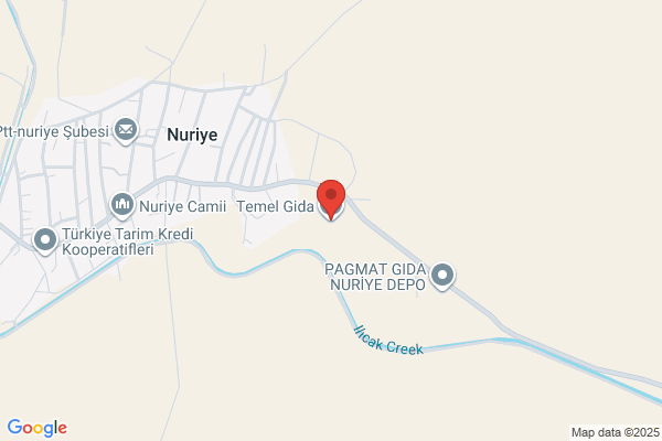 Temel Yemek Fabrikasi