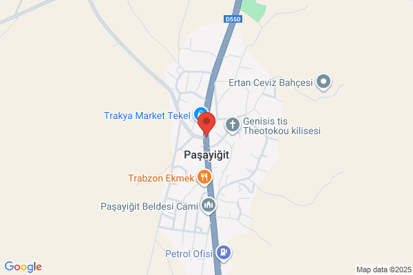 Pasayigit Belediye Baskani