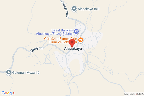 Alacakaya Belediye Baskani