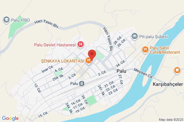 Palu Belediye Baskani