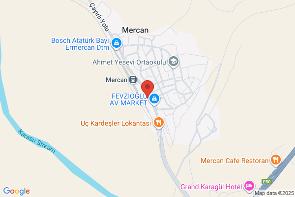 Mercan Belediye Baskani