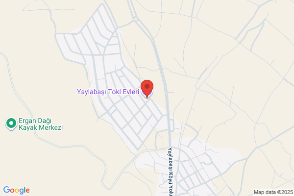 Yaylabasi Belediye Baskani