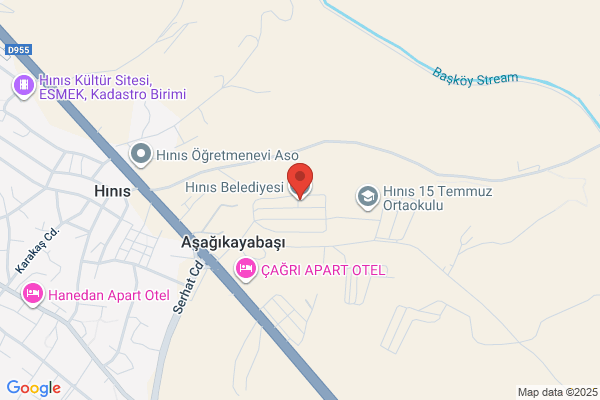 Hinis Belediye Baskani