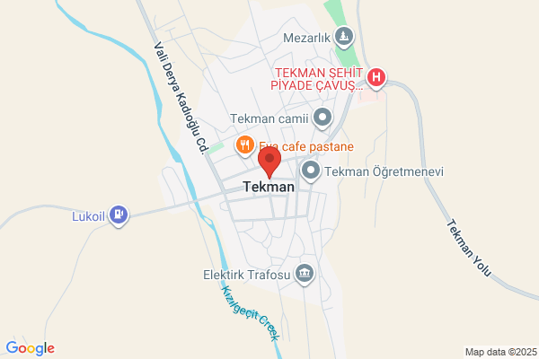 Tekman Belediye Baskani