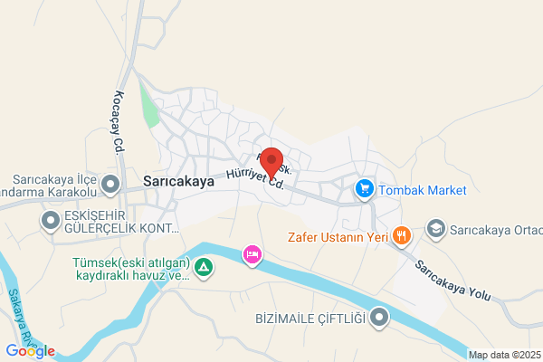 Saricakaya Belediye Baskani