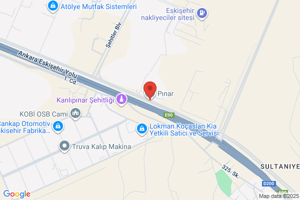 Pinar Sut Mamulleri Sanayii A.s.