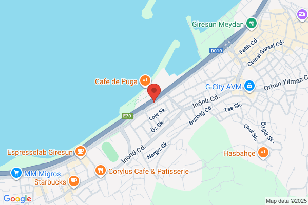 Giresun ÖzÜrlÜlerle Dayanisma Ve Yardimlasma Dernegi