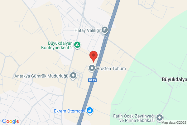 Zaimoglu Uluslararasi Nakliyat Ve Dis Tic Ltd Sti