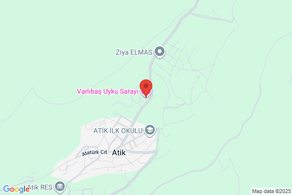 Varlibas Gida Ins. San. Tic. Ltd.sti.