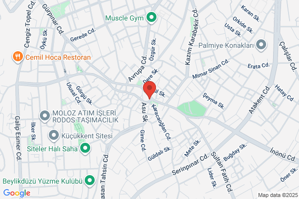 Altay Matbaacilik