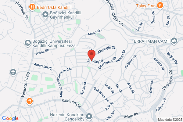 Rize Denizcilik Ltd.sti.