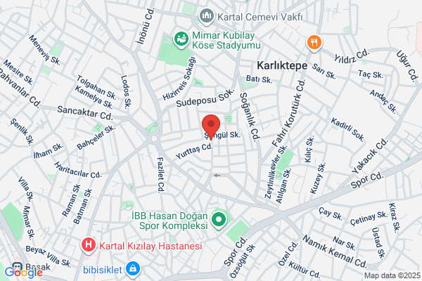 Kasel Asansor Elektrik Ve Insaat San Ltd Sti
