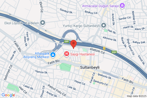 Sultanbeyli Belediye Baskani