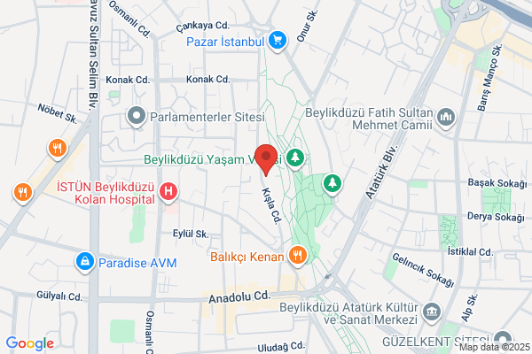 Defne Yemek