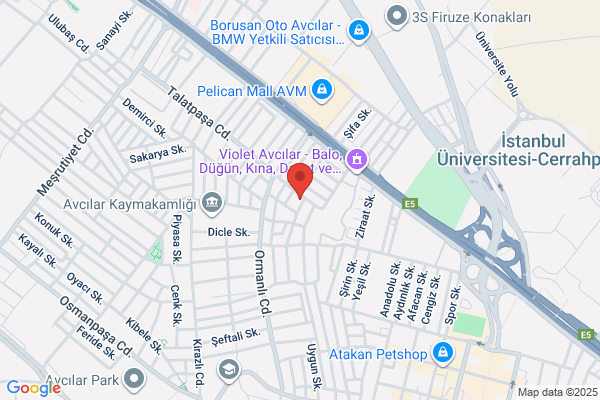 Kardelen Uluslararasi ÇiÇekÇilik