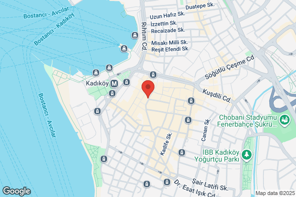 Istanbul Fahri Trafik Mufettisleri Dernegi