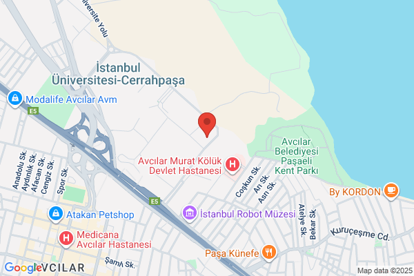 Iu Isletme Fak. Isletme Istisadi Enstitusu Mezun. Dernegi