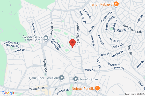 Istanbul Otomotiv EndÜstri Tic. A.s.