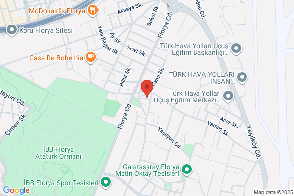 Flipper Kuru Temizleme