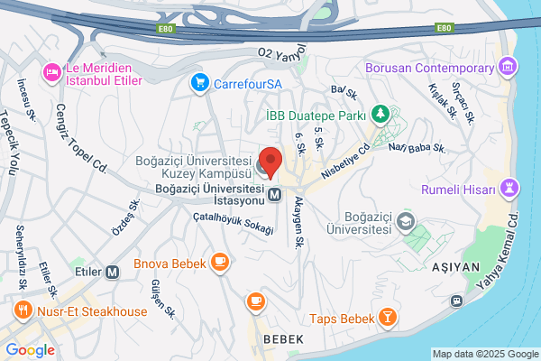 BogaziÇi Elektrik San.