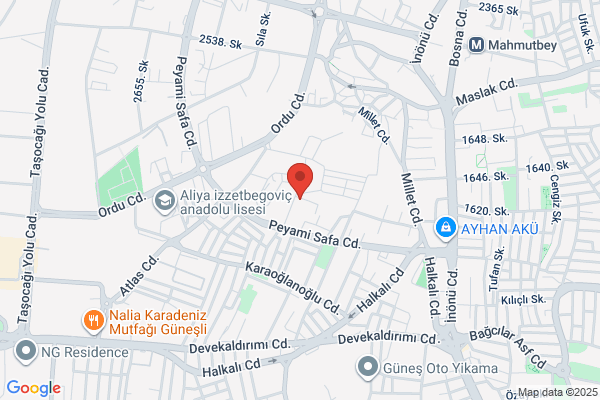 Cizgi Nakis