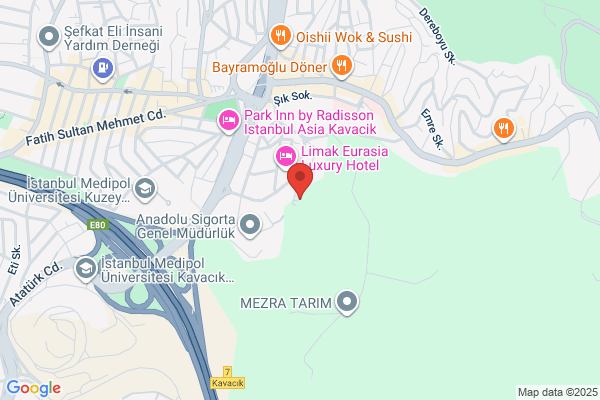 Ata Uluslararasi Dis Tic.ve.dek.san.ltd.st.