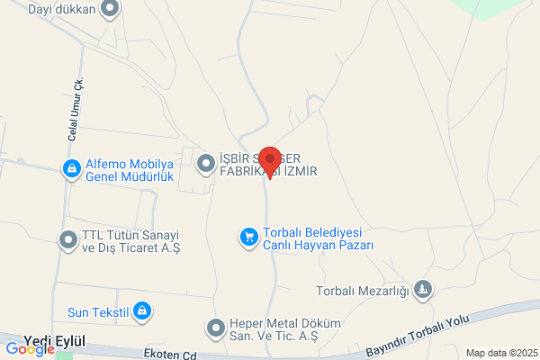 Teyze Ogullari Hafriyat
