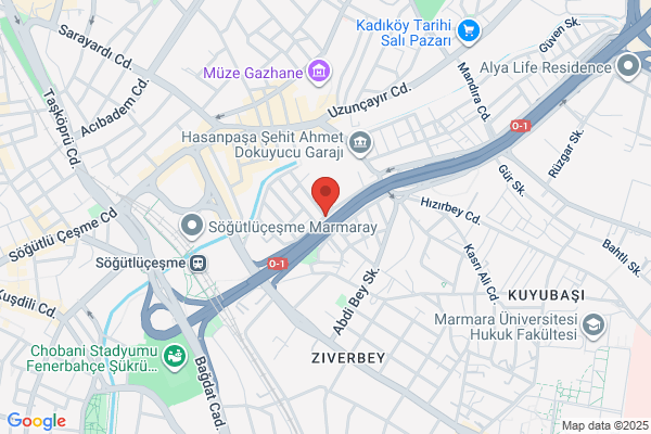 Gine Cumhuriyeti Fahri Baskonsoloslugu