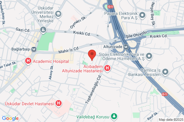Acenta 44 Denizciler Turizm Ve Gemi Hizmetleri Ltd.sti.