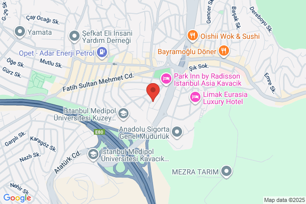 Delta Denizcilik Ve Ticaret A.s.