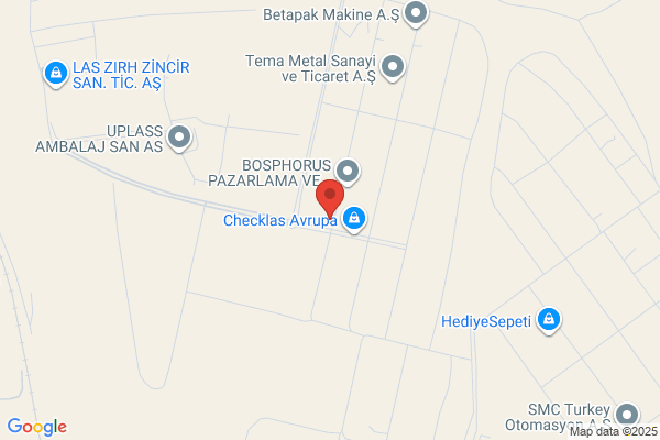 Delta Mumessillik Ic Ve Dis Ticaret A.s.
