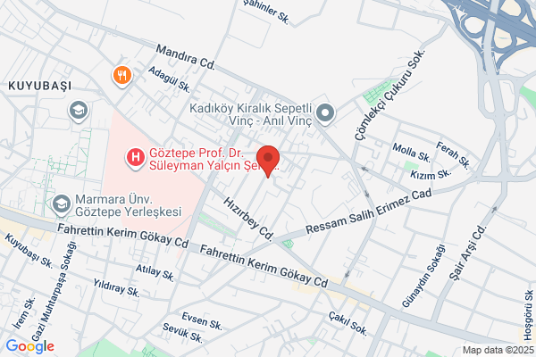 Saglik Sut Urunleri