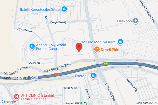 Dede Nikelaj Polisaj Malz. Hird. San. Tic. Ltd. Sti.
