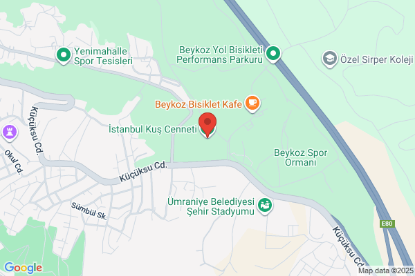 BakirkÖy Kus Cenneti