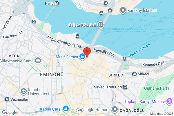 Gri Papagan Kus Ve Akvaryum Galerisi
