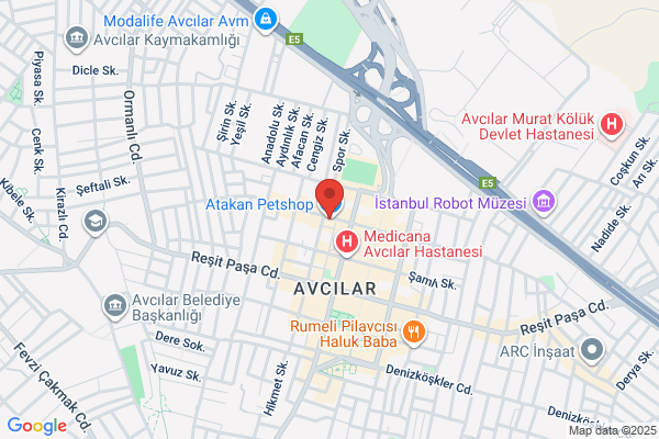 Nadir Akvaryum Evcil Hayvan Galerisi