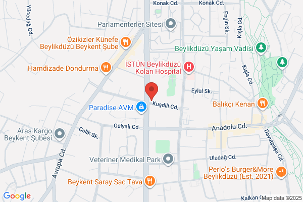 Okutan Dil Kursu
