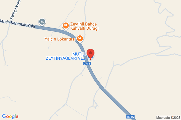 Molva Zeytinyaglari