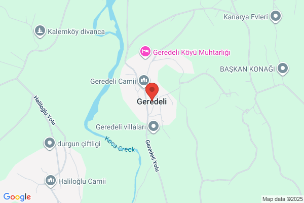 Geredeli Dis Tic. Ltd.