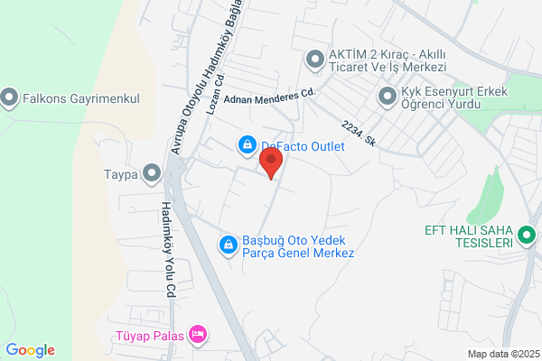 Yaprak Agac Orman Urunleri