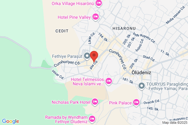 Festival Hotel